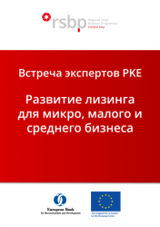 Онлайн-встреча PKE: Развитие лизинга для микро, малого и среднего бизнеса